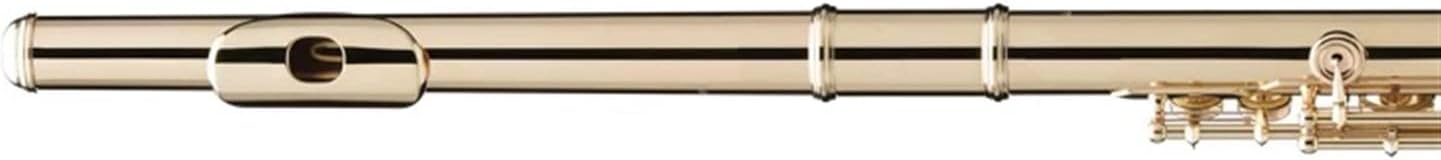 Flute Kit Western Concert Flute Silver Plating 17 Holes C Flutes Key Woodwind Instrument Mini Screwdriver Padded Intermediate Flute (Color : Gold)