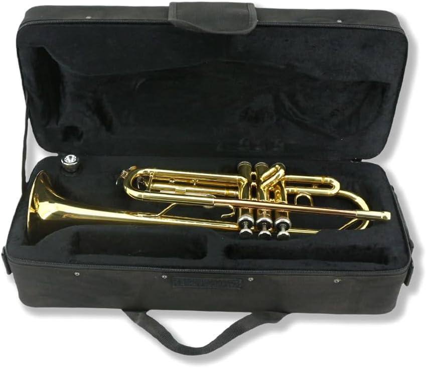 Bb Standard Trumpet Set for Beginners or students trumpet instrument with Carrying Hard Case 7C Mouthpiece Cleaning Cloth Gloves