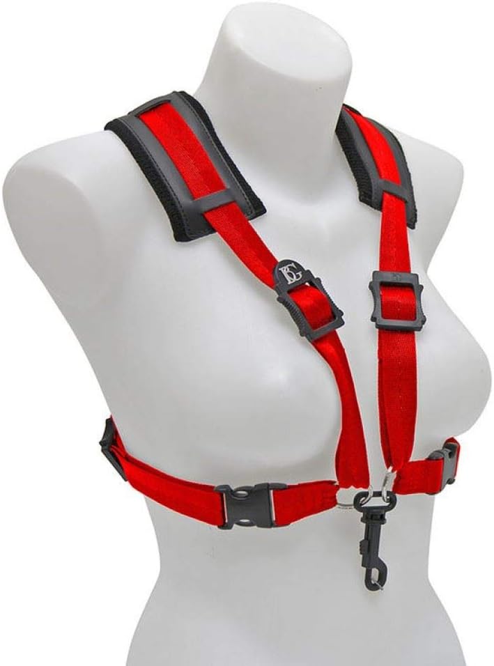 BG 6 String Acoustic Bass Guitar, Right, (S419CSH)