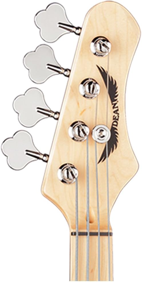 Dean Guitars PARAMOUNT M CBK-KIT-1 4-String Bass Guitar Pack