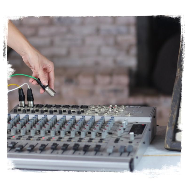 Fat Toad 10ft 8 Channel XLR Snake Cables (ShieldedPRO X Series) 2 Pack – Balanced 3-Pin Mic Patch Wires – Multicore for Studio, Stage, Mixer & DMX Use