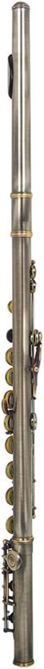 Flute Set 16 Closed Hole Flute C Tone Woodwind Instrument Green Copper Nickel Practical Material