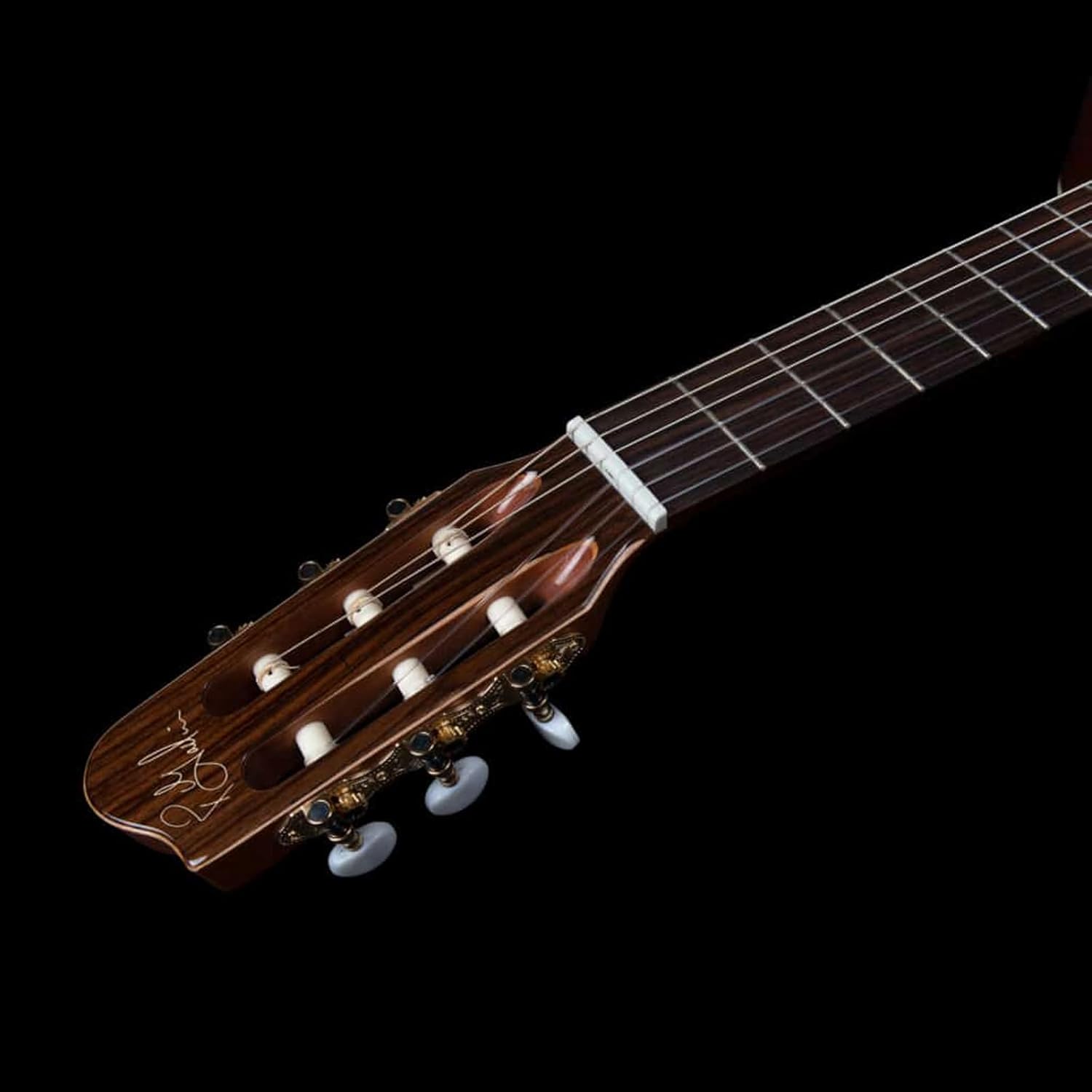 GODIN Concert Left Clasica II