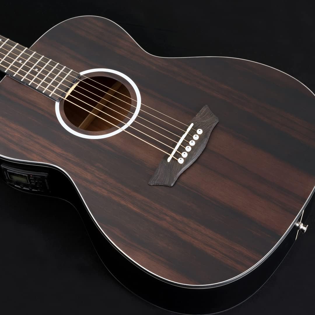 Washburn Deep Forest Ebony FE (DFEFE)