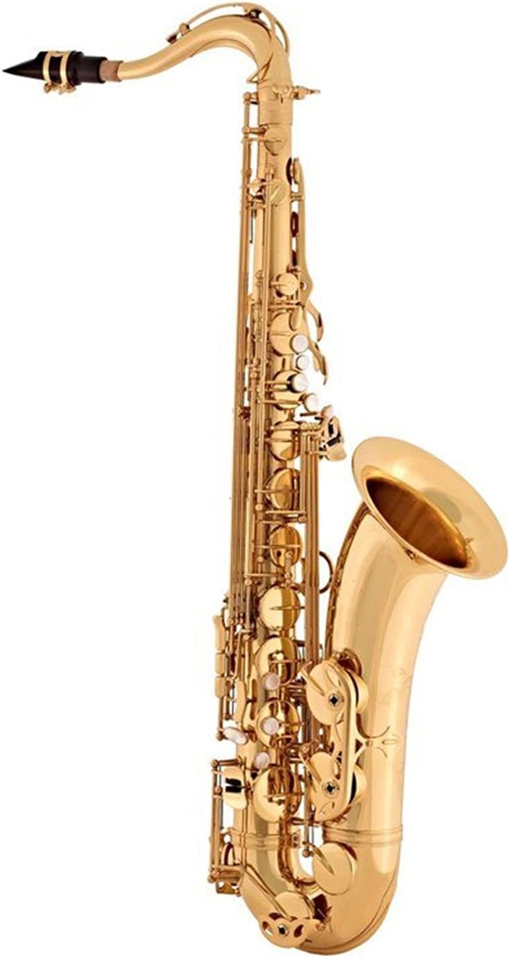Sax Beginners Kit Tenor Saxophone B Flat Brass Nickel Plated Musical Instruments Sax with Case Mouthpiece Wind Instrument (Color : ST110)