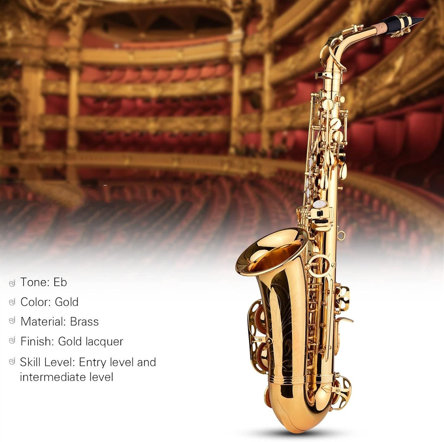 Sax Beginners Kit E Flat Alto Saxophone EB Key Brass Gold Lacquer with Hard Case Cleaning Brush Cloth Gloves Straps Saxophone Lanyard Wind Instrument