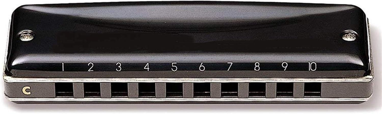 SUOFEILAIMU Diatonic Harmonica 10 Holes Blues Harp Key C Mouth Organ Professional Musical Instruments (Color : Key of Db)
