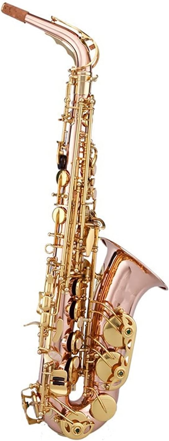 Professional Saxophone E-Flat Alto Saxophone Phosphor Bronze Saxophone/Wind Instrument Double-bar Saxophone Beginner Brass Sax Beginners Kit