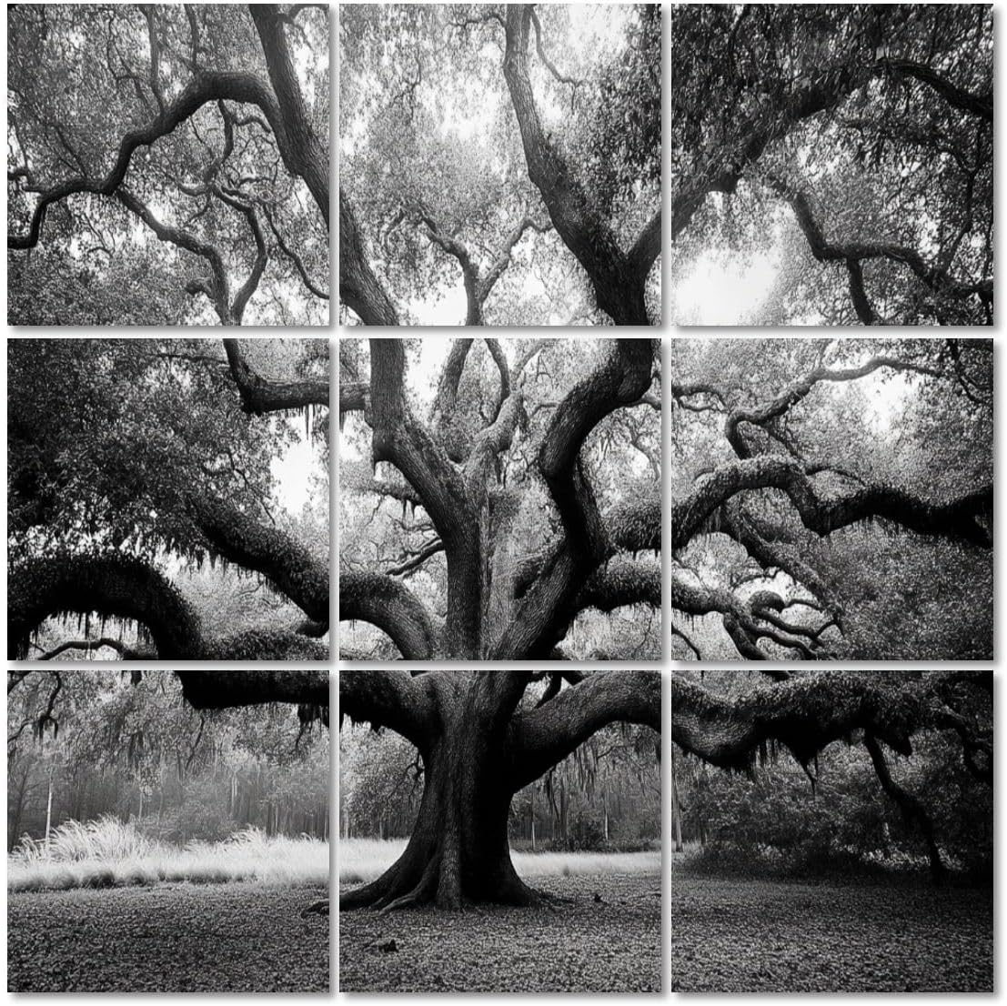 Art Acoustic Panels Self Adhesive tree pictures royalty photos 9 Packs Decorative Soundproof Wall Panels Large Sound Absorbing Panels for Home Office 60