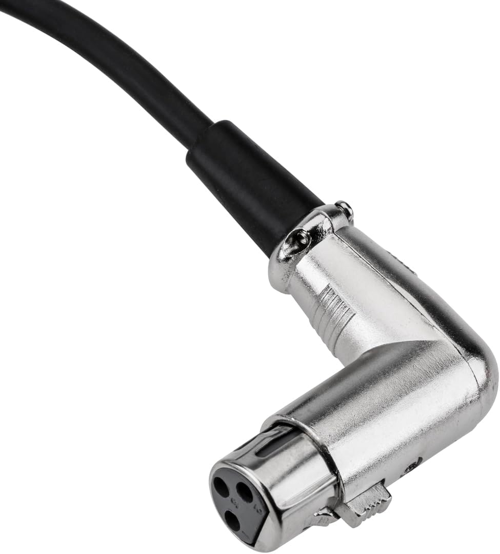 Sennheiser MKH416-P48U3 Condenser Super-Cardioid Shotgun Microphone With Zoom H4N PRO Digital Recorder, Right Angle XLR Cable for Camera Mic Kit