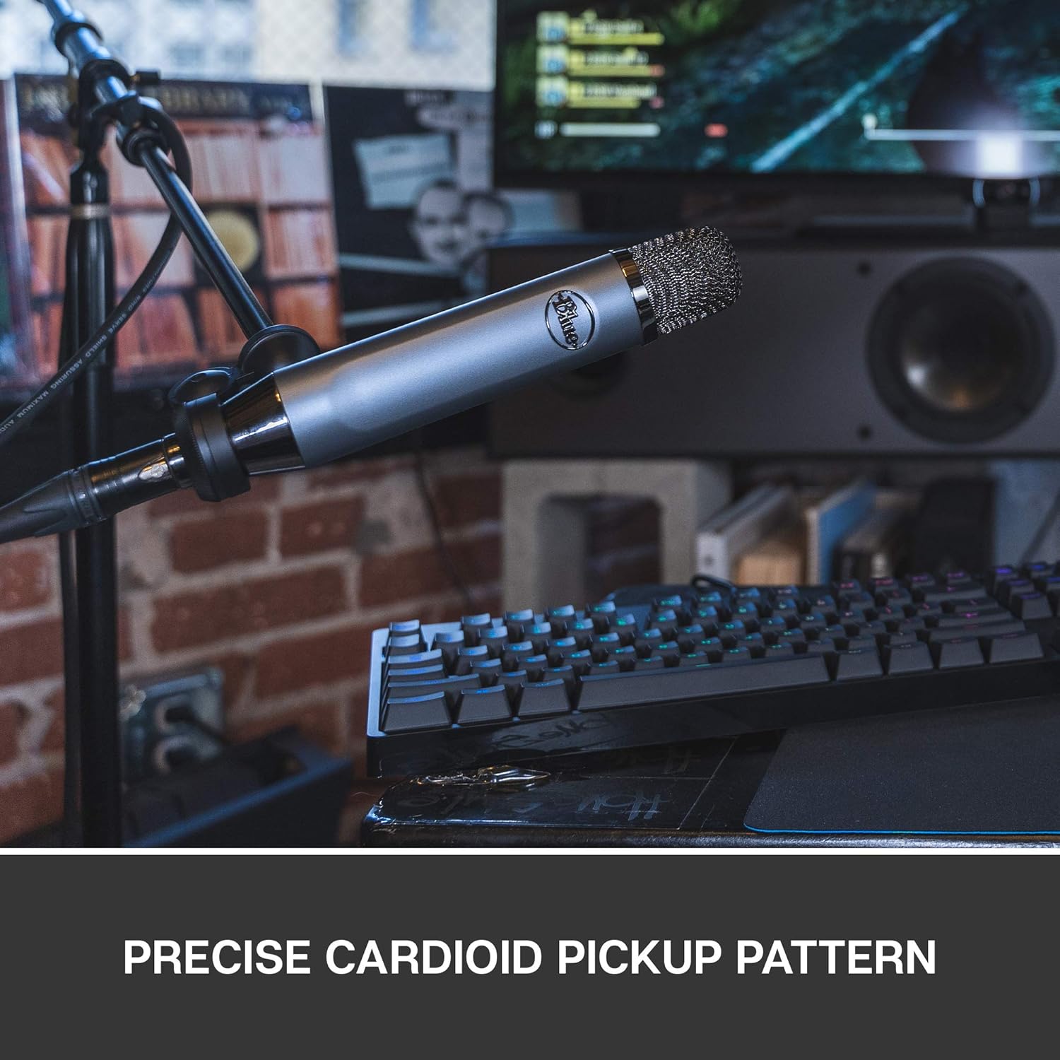 Blue Ember XLR Condenser Mic for Recording and Streaming, Custom Cardioid Capsule and Mic Stand Mount, Gray