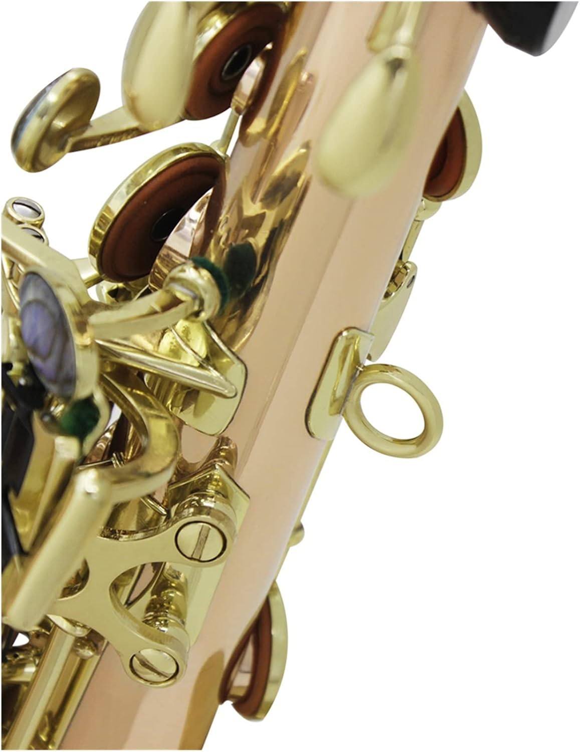 TSTS Saxophone Abalone Shell Buttons Mouthpiece Reeds Wind Instrument Accessories Brass Sax Full Kit