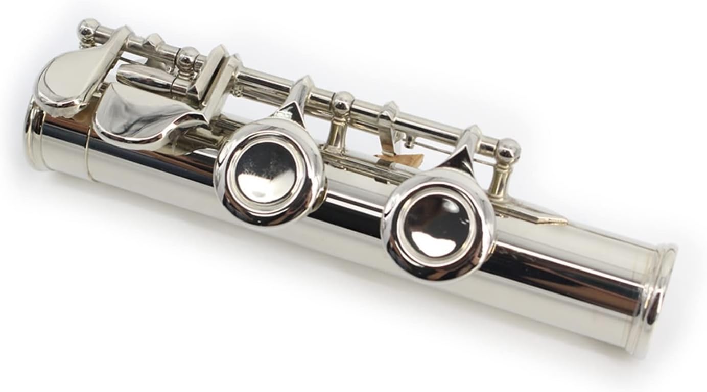 Flutes 16 Holes Key of C Flute Cupronickel Nickel Plated Woodwind Music Instrument Dizi with Case