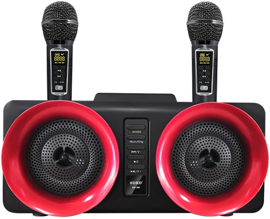 Portable Family System Two Microphones with 30w Stereo Tooth Speaker Condenser Microphone(D)