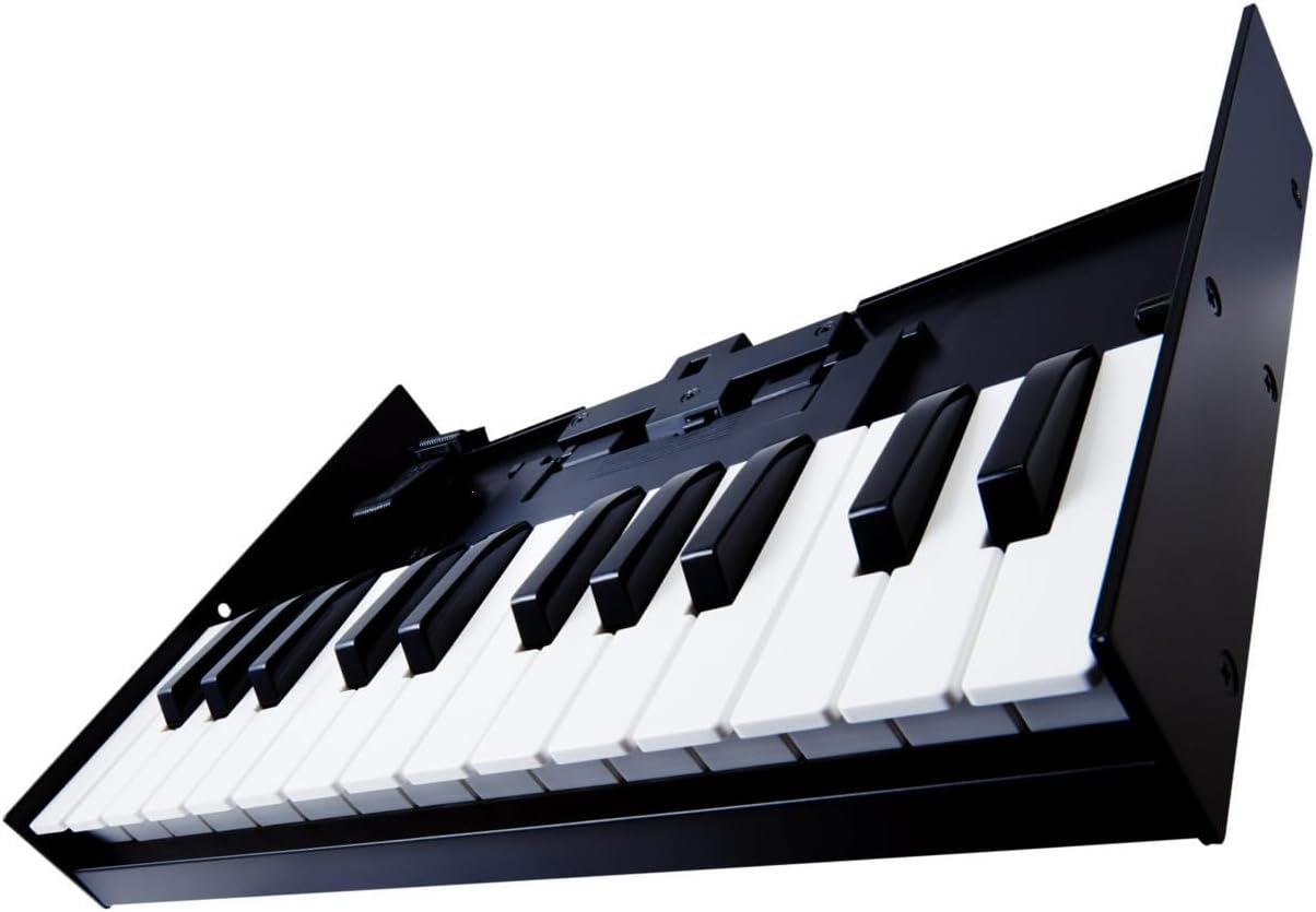 Roland K-25M Boutique Module Dock USB MIDI Keyboard, 12 inch (K-25M)