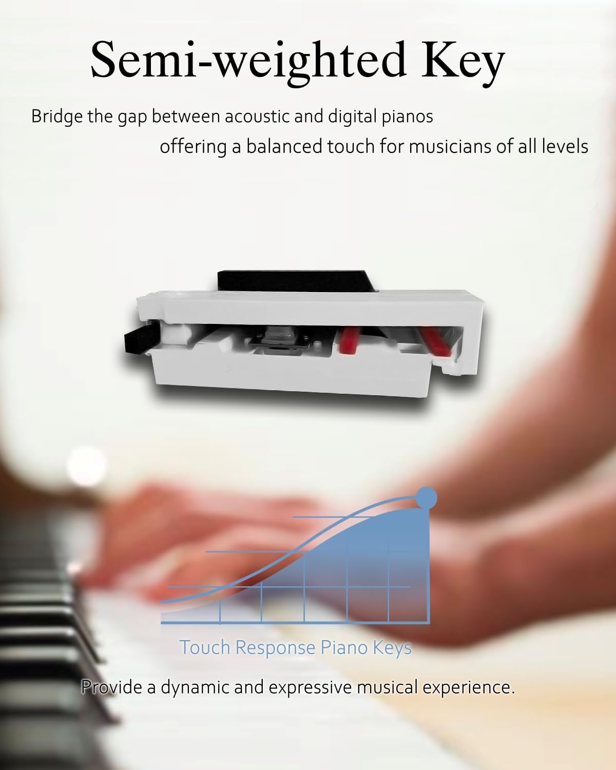 Longeye Piano Keyboard 88 Keys Wooden Electric Piano Semi Weighted Digital Piano Includes Piano Stand, Music Stand, Keyboard Bench, Headphones, MOLD2 Walnut