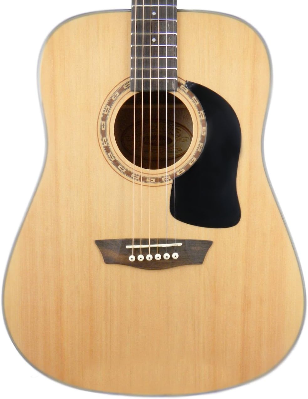 Washburn Apprentice 5 Series Dreadnought Guitar W/Hardshell Case