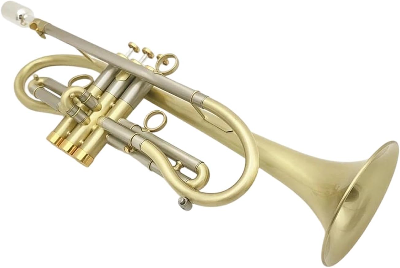 Trumpet Bb Key Brass Gold Plated Finish Professional Instrument With Box For Beginners