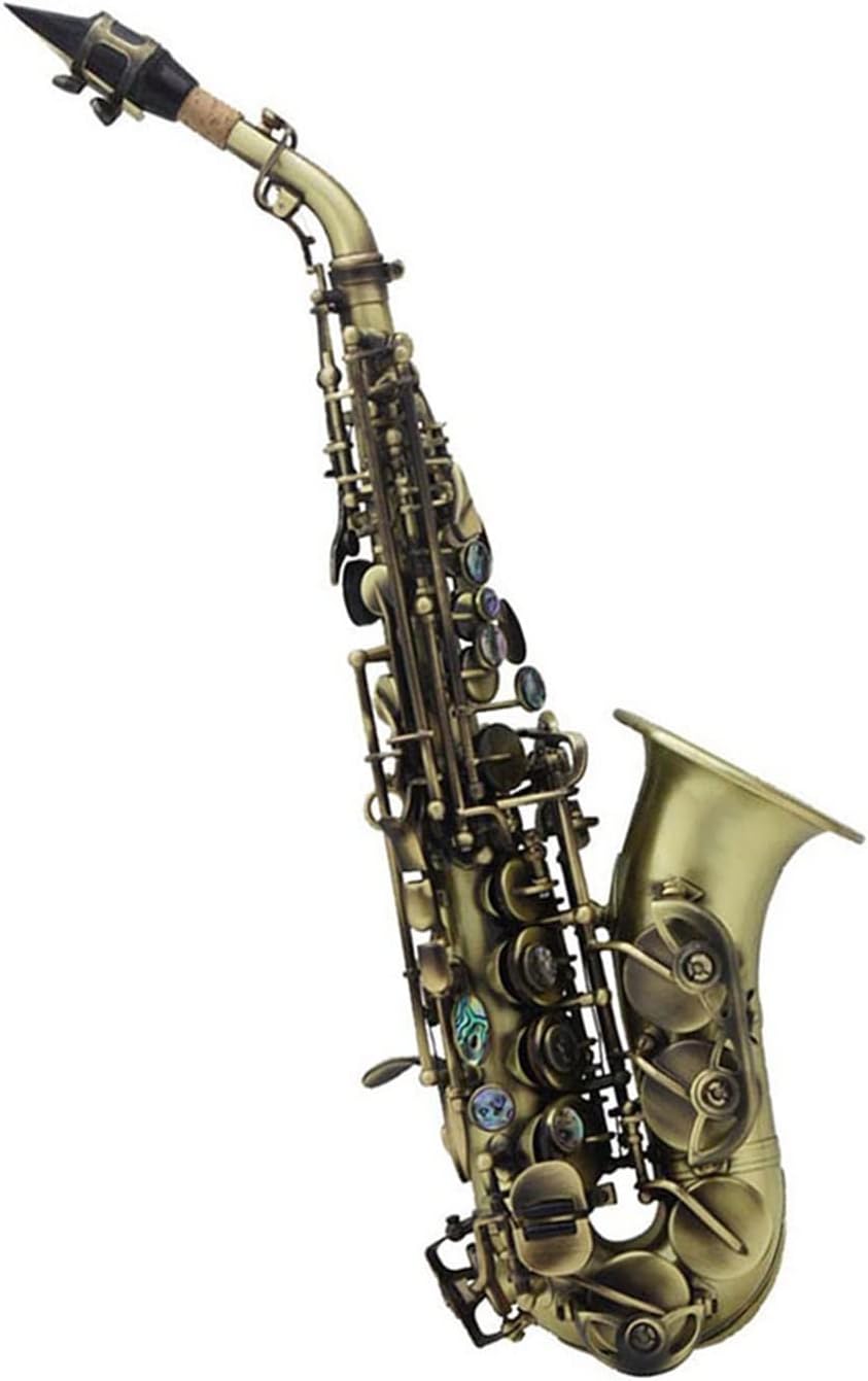 TSTS Bb Saxophone Brass Material Black Nickel Plated Woodwind Instrument Brass Sax Full Kit (Color : Brass)