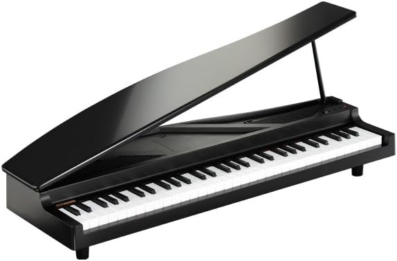 Korg microPiano 61 - Key Minature Grand Piano, Black