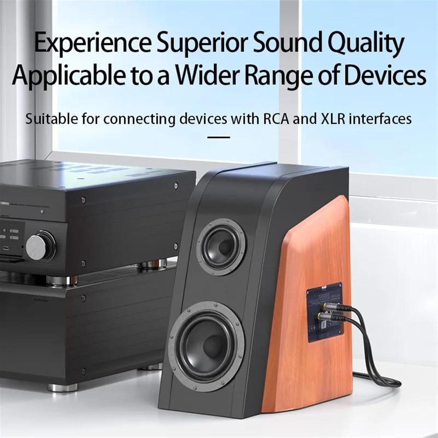 Pro Audio Cable 2 XLR Female to 2 RCA Male Cable HiFi Stereo RCA to XLR Speaker Microphone Amplifier Mixer Patch Cable(300cm)