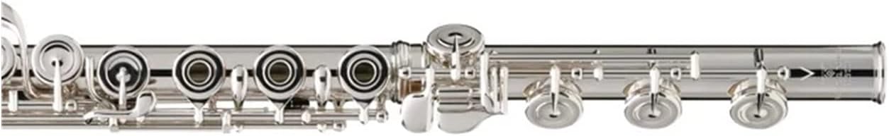 Flute Silver Plating 17 Holes C Flutes Key Woodwind Instrument Padded Flutes (Color : Silver)