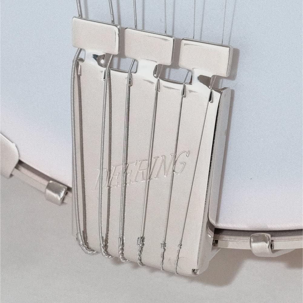 Six-String Goodtime Banjo