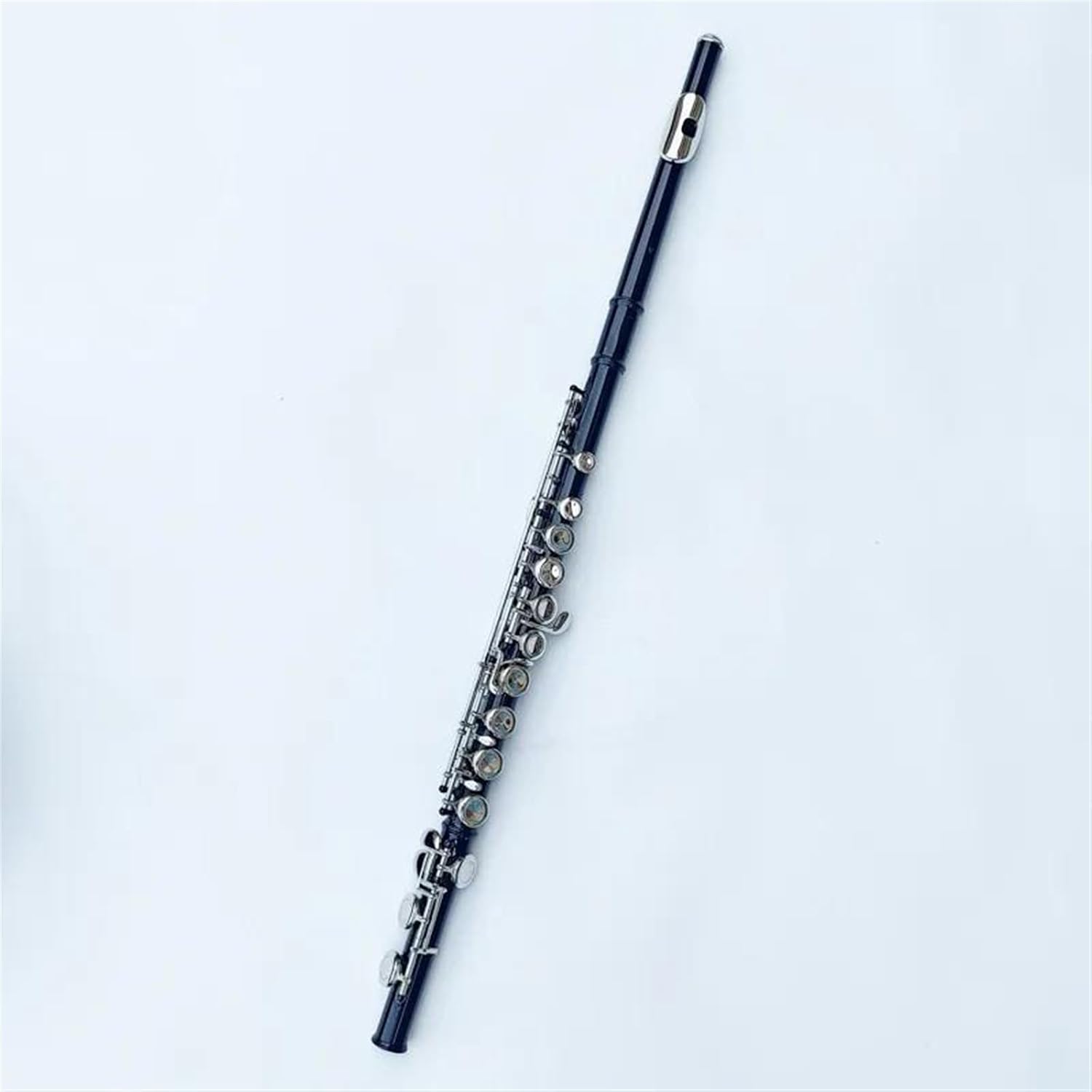 Flute Set Black 16 Closed Hole Flute Woodwind Instrument Plus E Key C Tone Nickel-Plated Keys