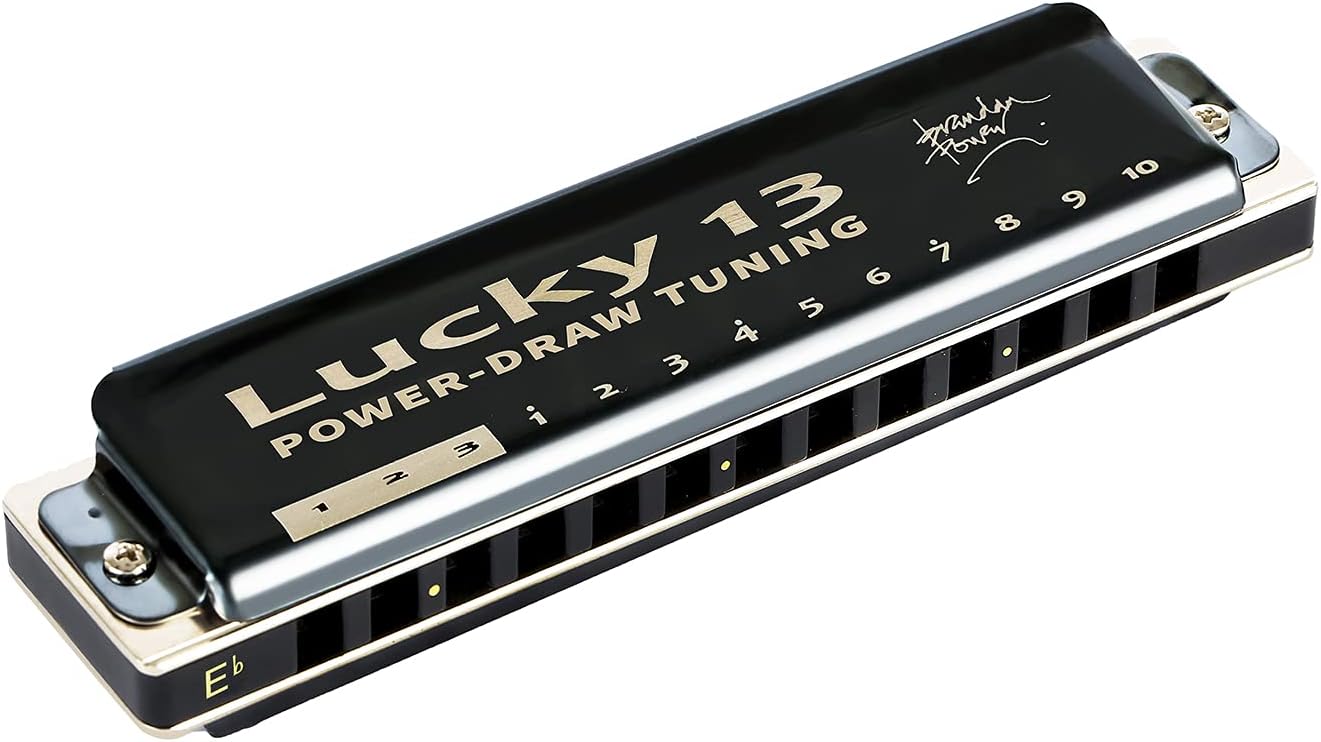 East top Lucky 13 Bass Plus Blues Harmonica 13 Holes Diatonic Harp Mouth Organ Professional Musical Instruments PowerDraw Eb key for Adults