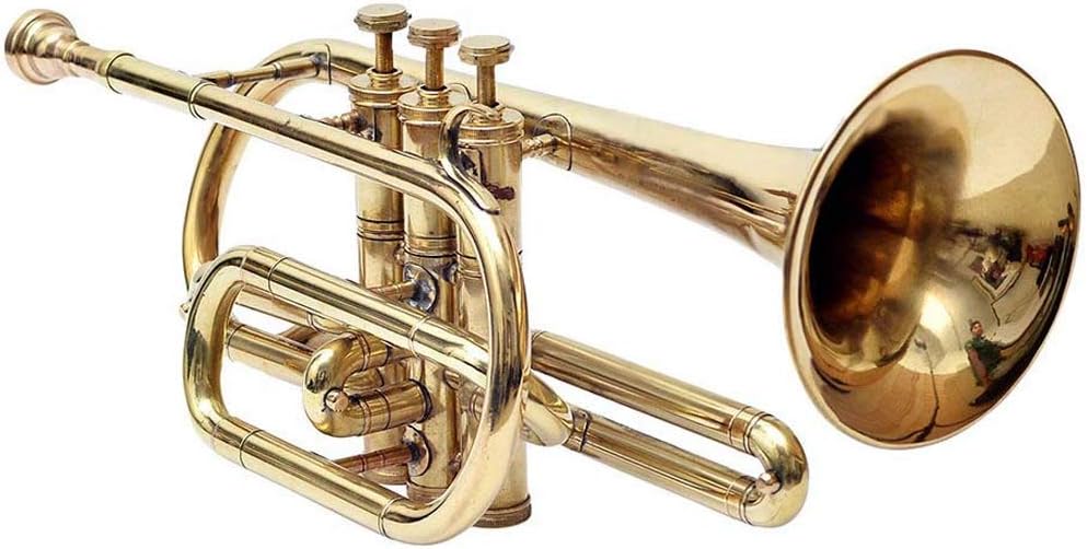 Shreyas Co-1, Cornet, Bb, Brass shry079