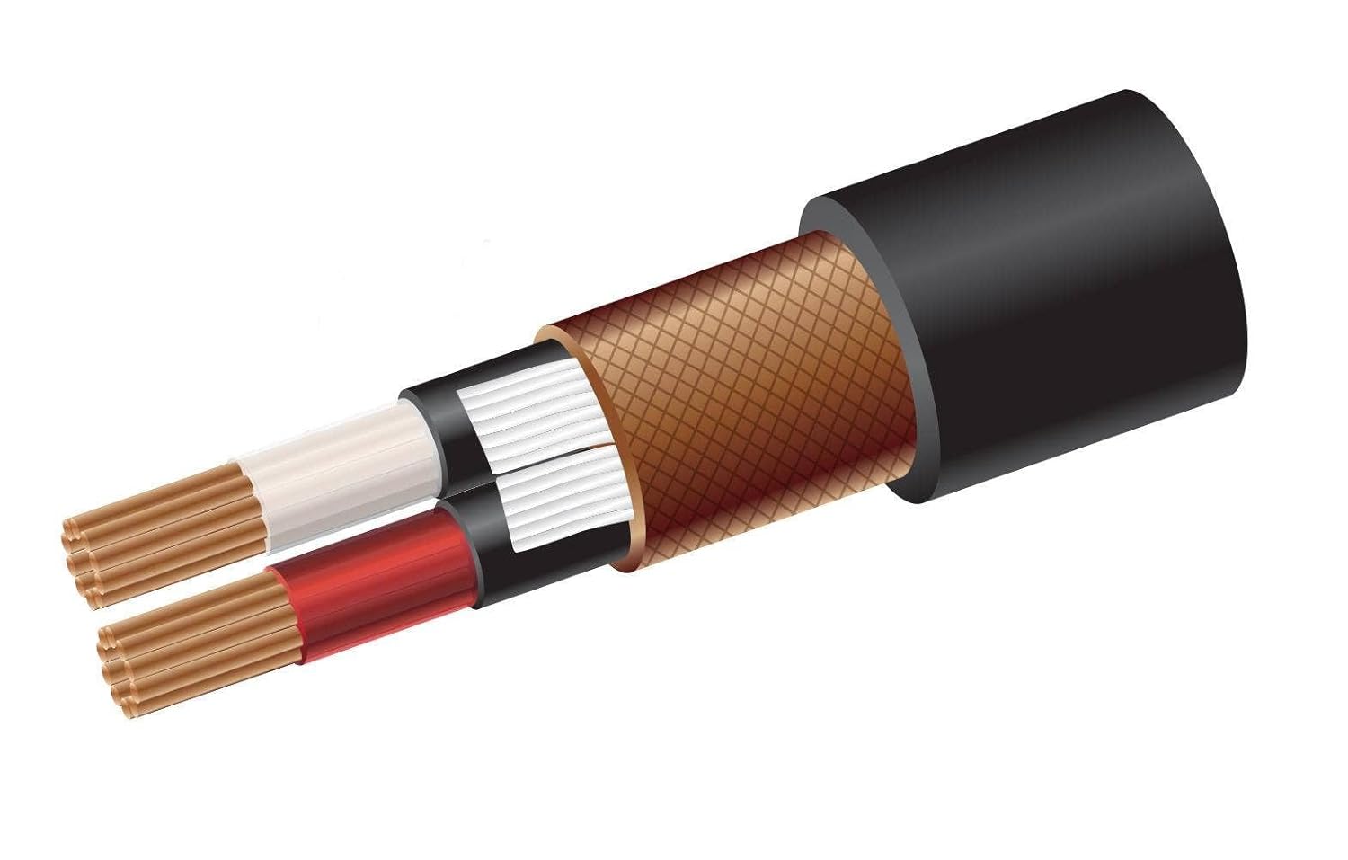 SAMSON Tourtek PRO TPM Microphone Cable 100ft