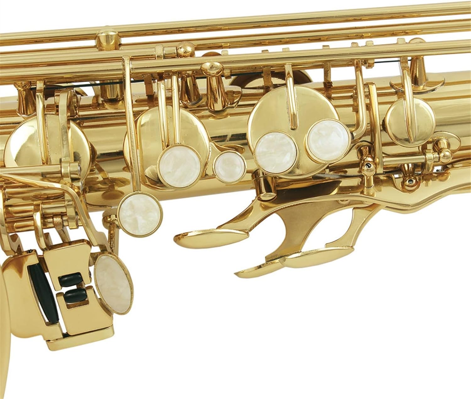 Sax Beginners Kit Professional Bb Tenor Saxophone Brass Lacquered Gold B Flat Sax Musical Woodwind Instrument with Case Mouthpiece Accessories Wind Instrument