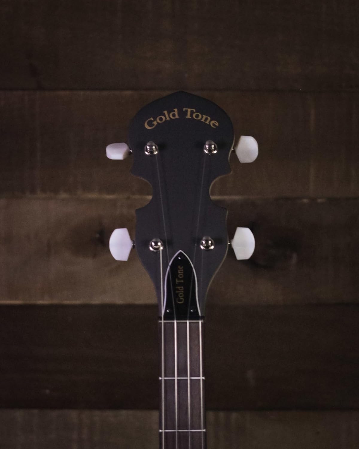 Gold Tone AC-5: Beginner 5-String Banjo with Resonator, Bluegrass Banjo with Gig-Bag