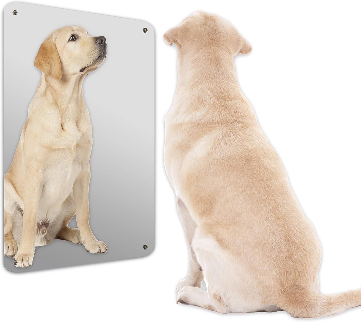 Glossy Gallery Rectangle Shatterproof Acrylic Safety Mirror with Rounded Corners and Screw Mount Set - 18in x 24in