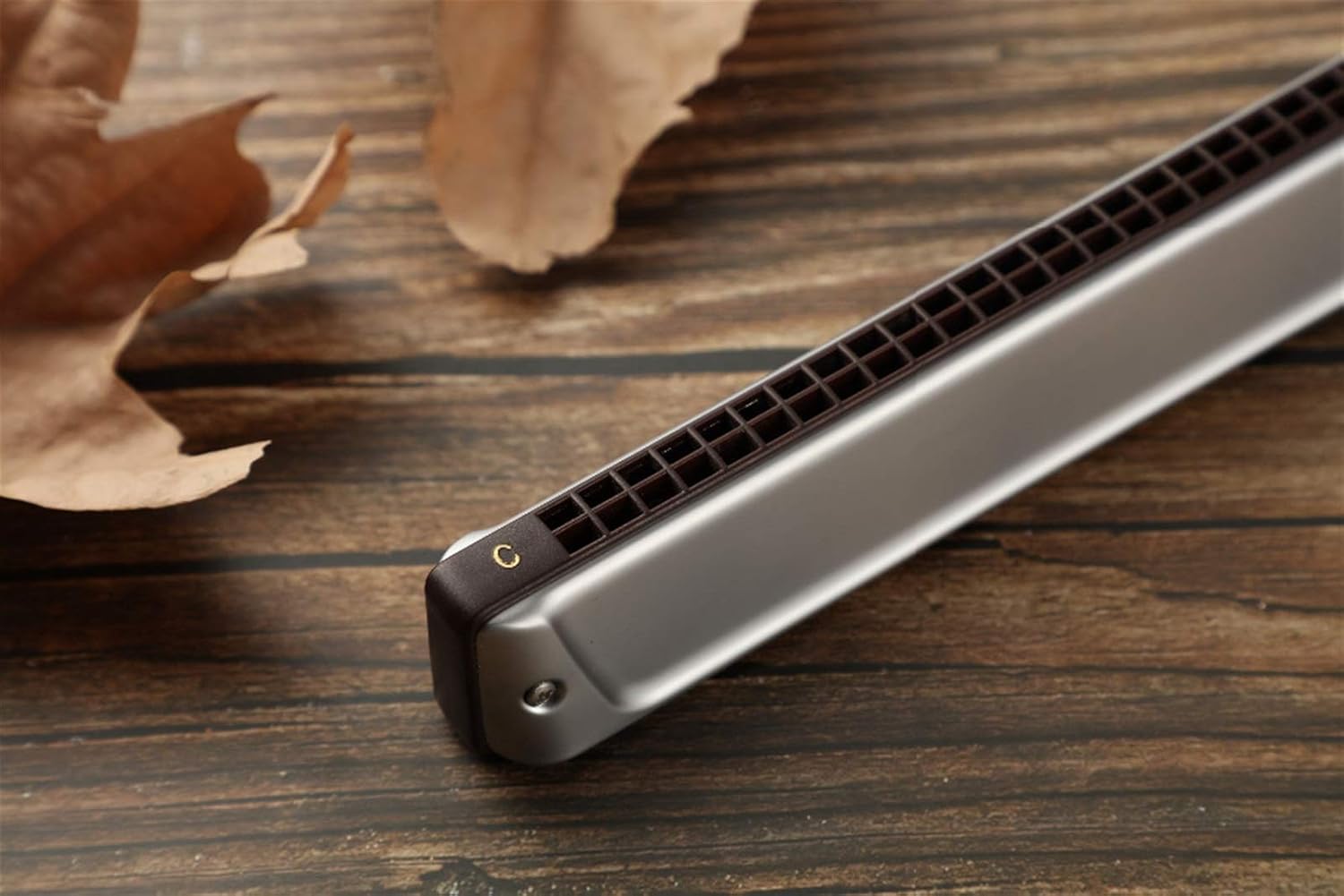 SUOFEILAIMU Professinal 2420 Tremolo Harmonica (Color : Lavender)