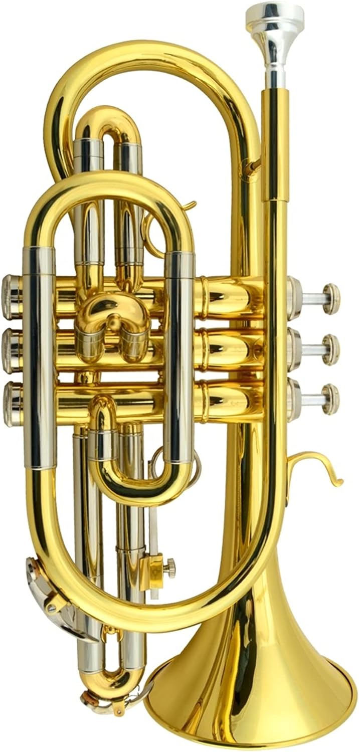 Student Trumpet Professional Brass Cornet with Gold Paint B Flat Trumpet Cornet Instrument with Hard Case