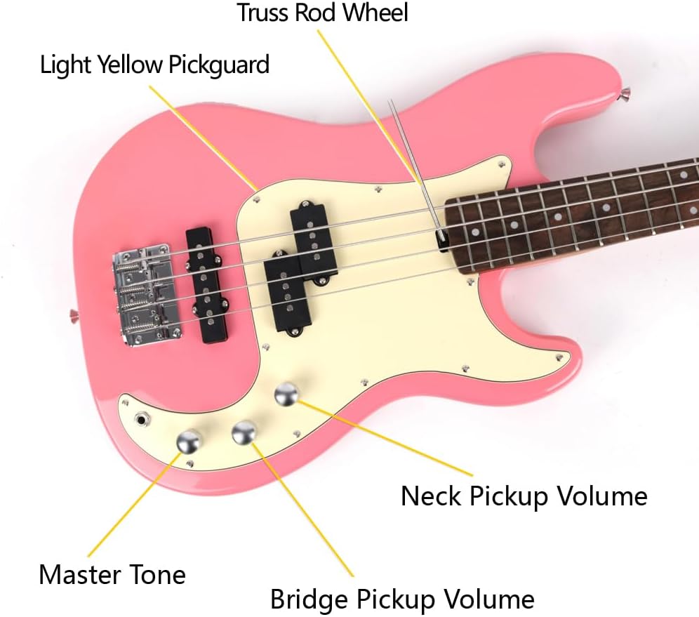 Fojill Full Size Standard Electric Bass Guitar Four 4 String Right Hand Handed Basswood Body Roasted Canadian Maple Neck Genuine Rosewood Fretboard Fingerboard with Gig Bag (Pink)