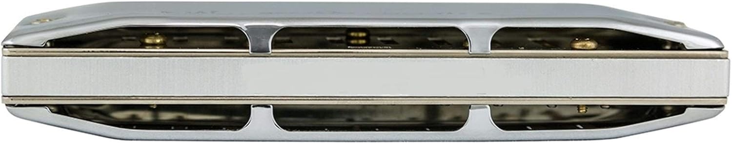 SUOFEILAIMU 580/20 Diatonic Harmonica for MS Series Diatonic 10 Holes Mouth Organ Key C Musical Instruments Armonica Blues (Color : Key F)