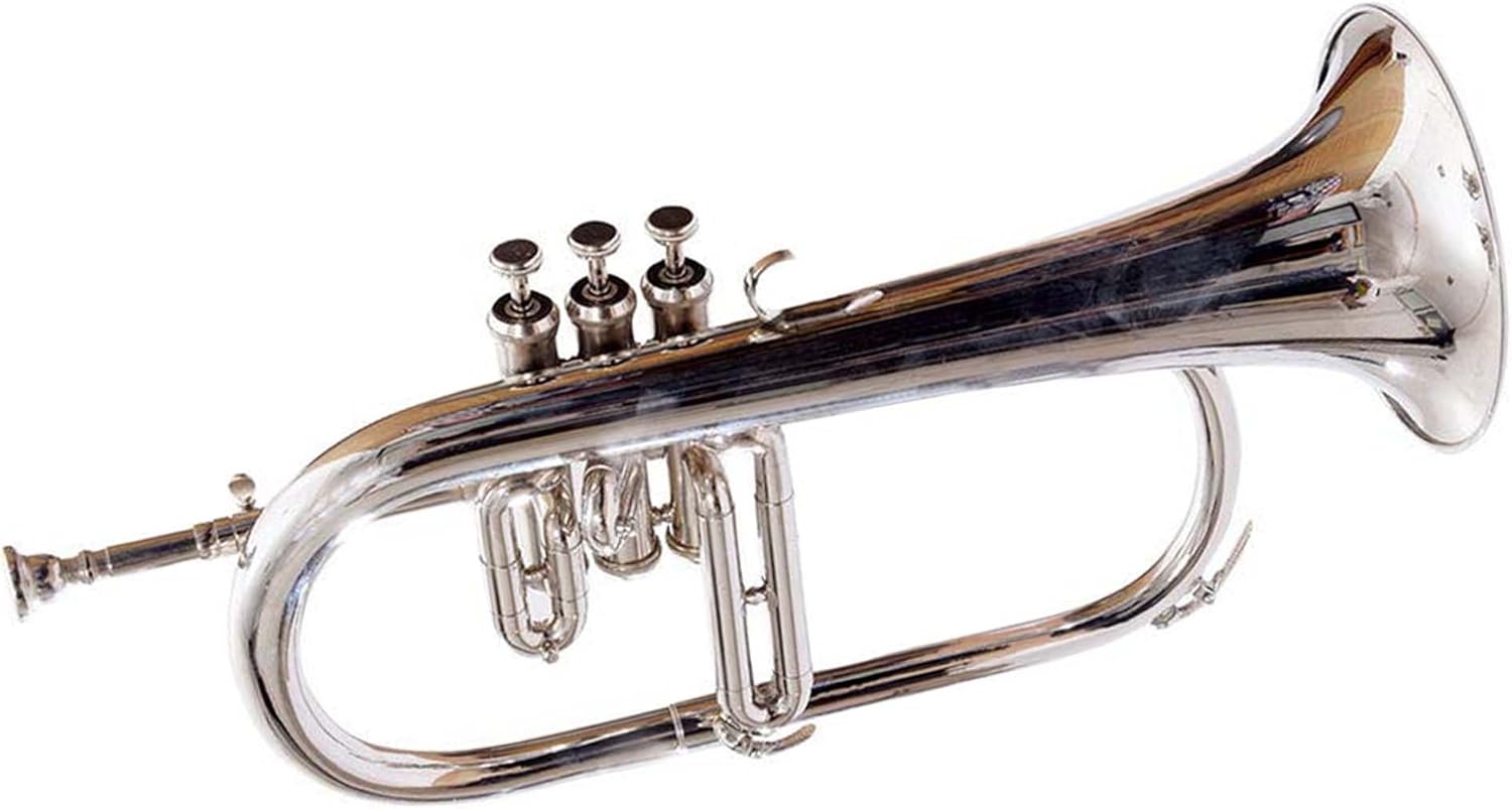 Flugelhorn Chrome Bb Pitch W Hardcase Mp Fluglehorn Silver