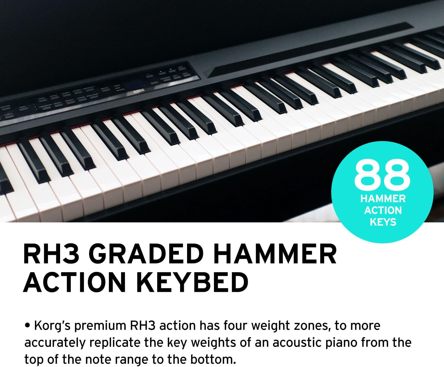 Korg C1 Air Bluetooth 88 Key Digital Piano with Real Weighted Hammer Action 3 Keyboard, Black with Rosewood Grain