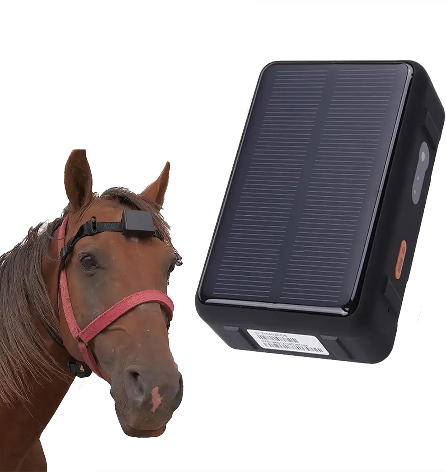 Large Animal Tracker, Solar Energy Animal Tracker with Buzzer Alarm, 9000mAh Super Long Standby/Real-time Tracking/IP67 Waterproof/Anti-theft Function, Perfect for Cattle, Sheep, Horse and Camel