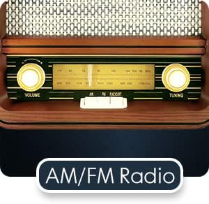 Fuse RAD Vintage Wood Retro Radio | AM/FM Radio with Bluetooth, Wireless Charger & AUX Input | Mid Century Modern Style | Handcrafted Ashtree Wood