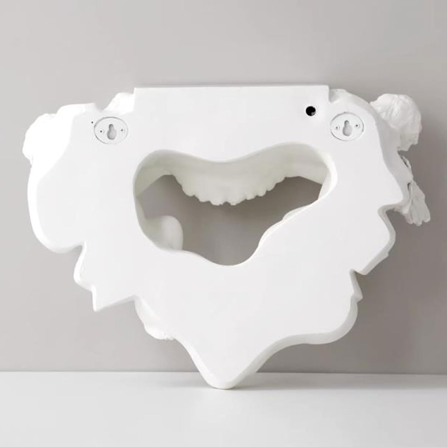 Floating Wall Shelves Modern Small Floating Shelf for Wall, Mini Wall Shelves Decor Plant Collectibles Display Mounted Kitchen Bathroom Bedroom Corner Decorative Storage Stand Rack Shelving Wall Mount