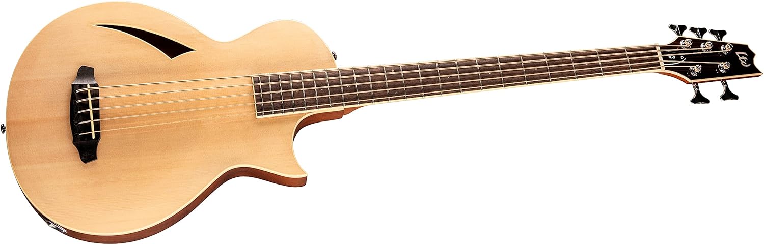 ESP LTD TL-5 Thinline Bass, Natural
