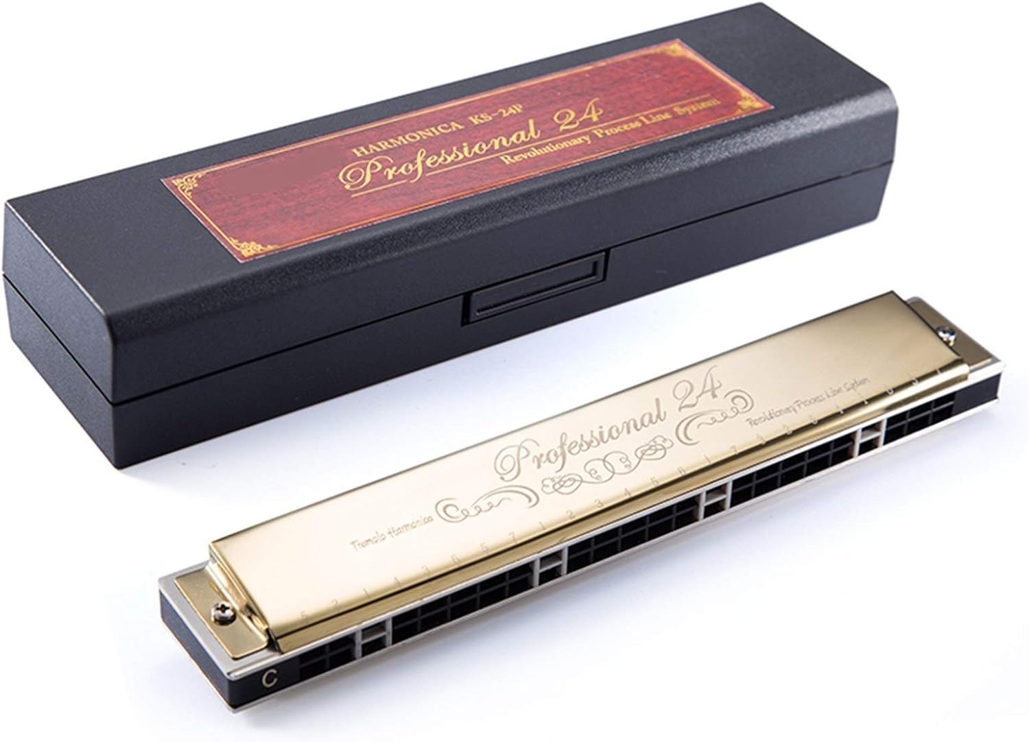 Harmonica Tremolo Harmonica 24 Holes for Beginners Mouth Organ Key of C/D/E/F/G/A Musical Instruments Gaita (Color : Key of D)