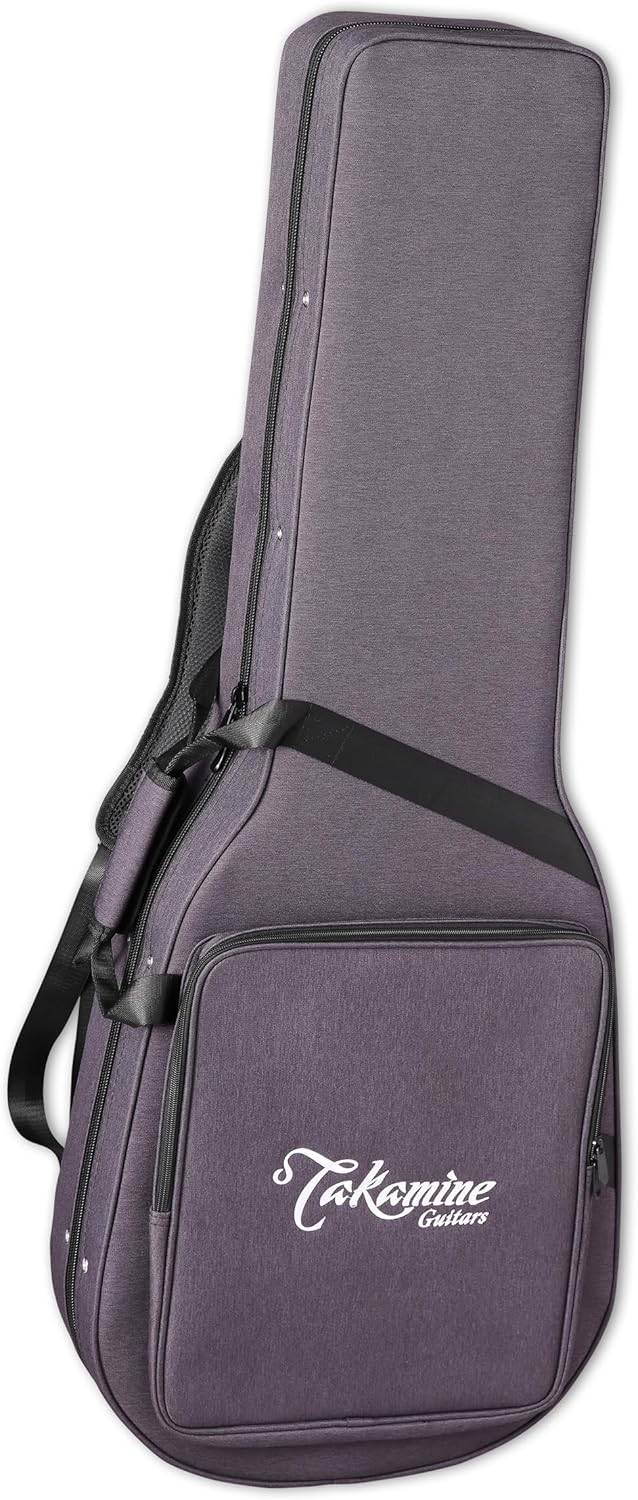 Takamine FN15AR Acoustic-electric Guitar - Natural