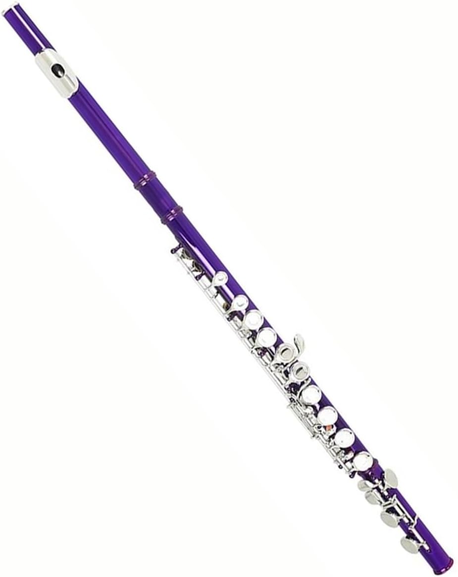 16 Closed Hole Flute C Playing Professional Woodwind Instrument With E Key Adult Practice(Purple)