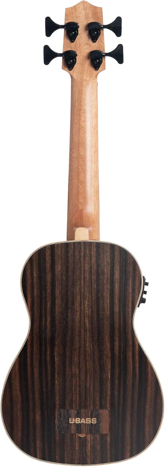 Striped Ebony Acoustic-Electric Fretless U•BASS® Rosewood Update