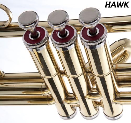 Fever Valve Gold Bb Trombone with Case and Mouthpiece