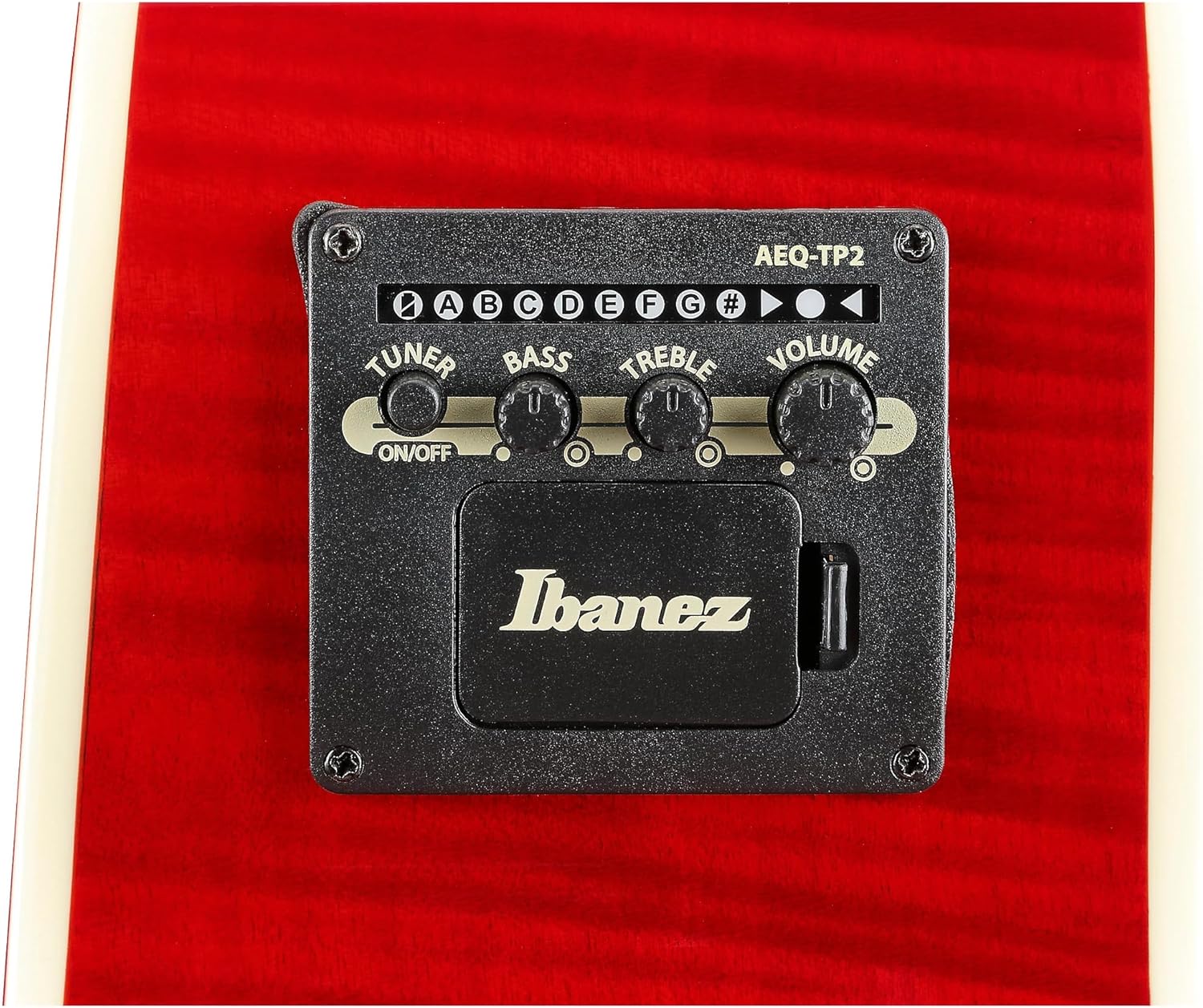 Ibanez AE170 Acoustic-electric Guitar - Natural